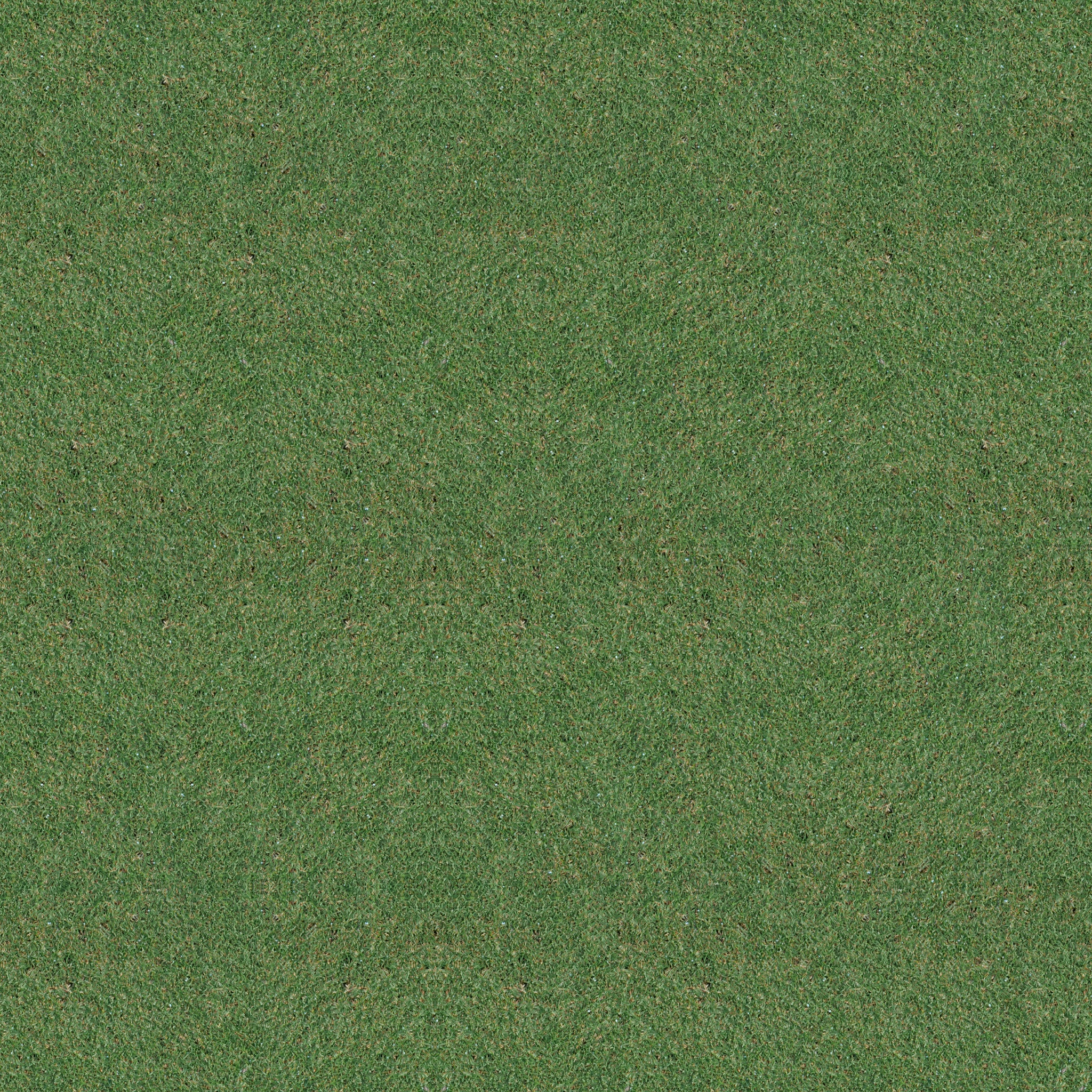 Grass texture бесшовная